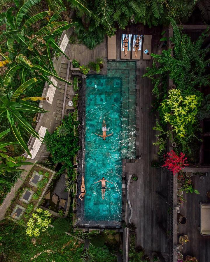 Dragon House - Your Dream House In Bali! Ubud Eksteriør bilde
